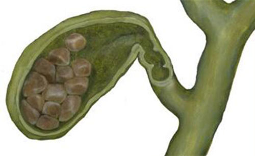 ��͵���Ҫ�� ������͵�Σ��